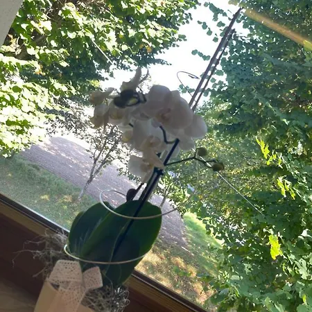Hohe Tanne 3* Auerbach in der Oberpfalz