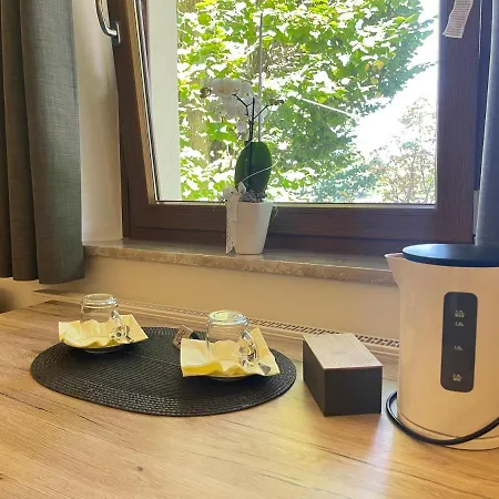 Hohe Tanne Guest house *