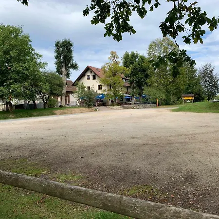Hohe Tanne Auerbach in der Oberpfalz